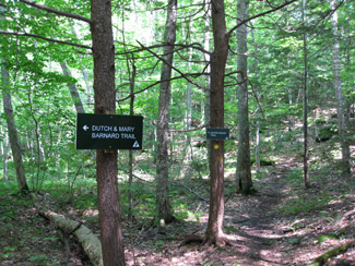 trail signs on the trees in the forest