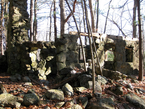 remnants of an old stone house in the woods